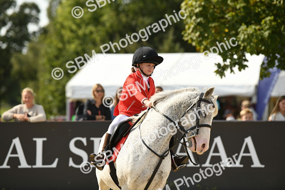 SBM_65122 - J48 - Pairs Jumping Open 70cm & 85cm