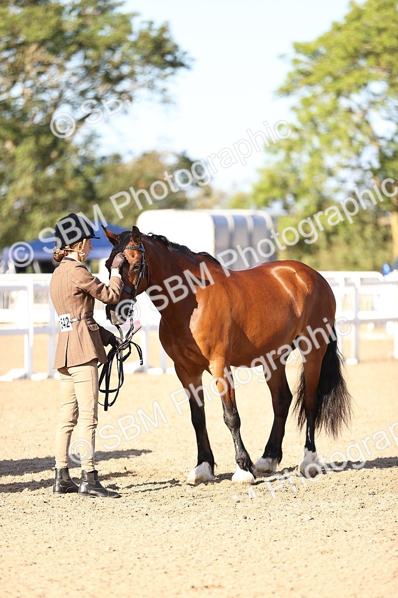 SBM_08470 - Class 402 - IH Veteran Pony