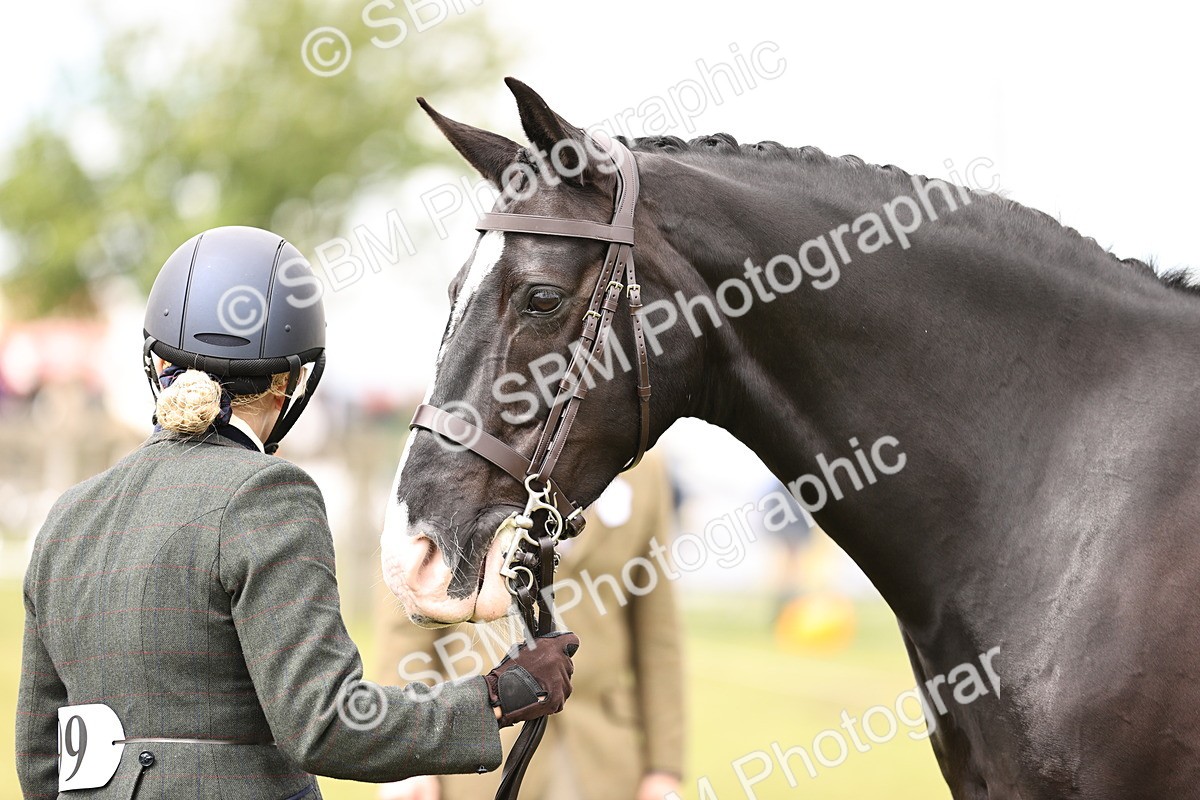 SBM_14609 - Class 88-89 - LIHS BSHA Rising Star of Ridden Hunter Type