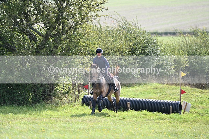 WJ6_7539 - Time 11:29 to 11:45