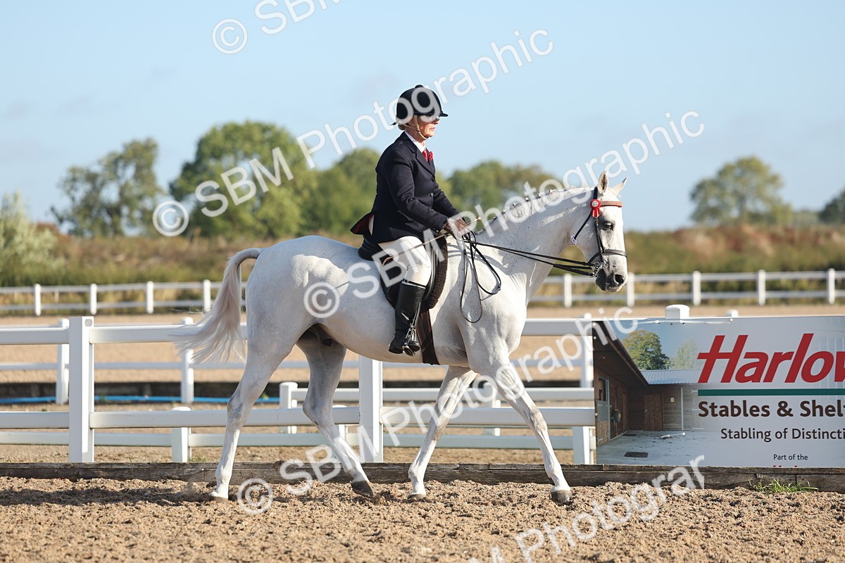 SBM_22103 - Class 801 - Ridden Veterans