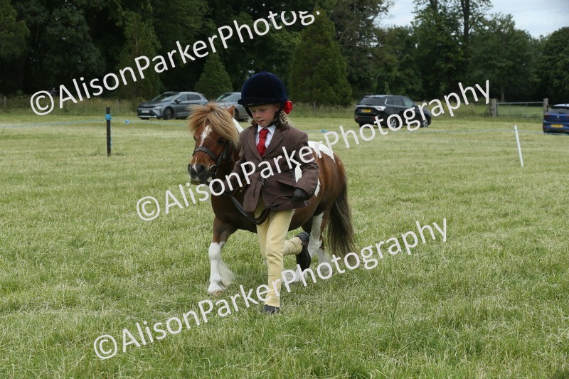 20260614-4297 - Class 18 - Best Junior Handler