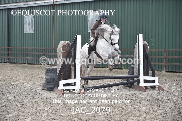 JAC_2079 - CLASS 1 Nursery Novice Working Hunter