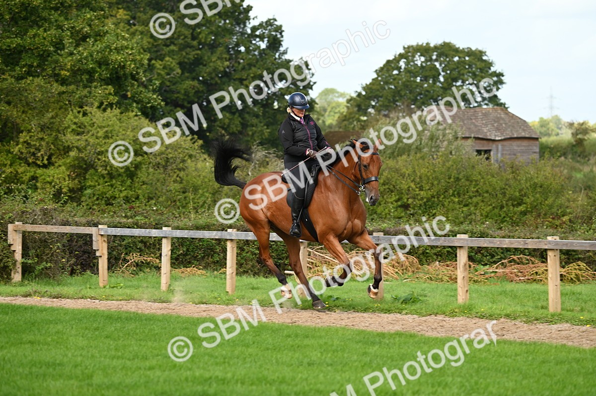 SBM_01994 - S2 - TSR Ridden Horse Showing
