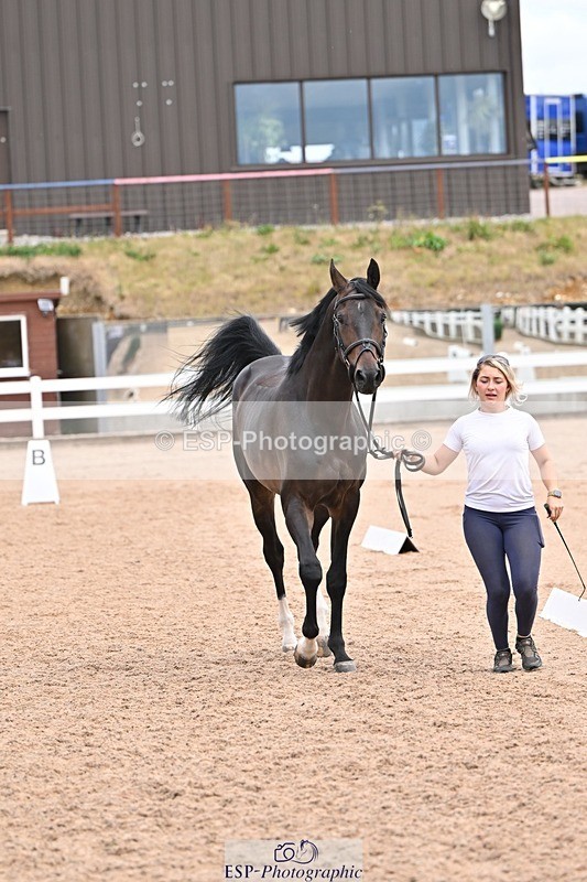 250716-135959-00850 - Trot Up 1.30 to 2.30