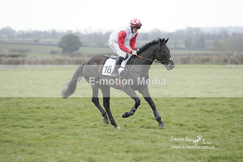 PtP 050323 778 - Blackmore & Sparkford Vale Hunt PtP - Somerset 05/03/23