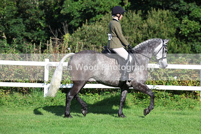 3E7A7550 - Class 1: Novice Working Hunter Pony