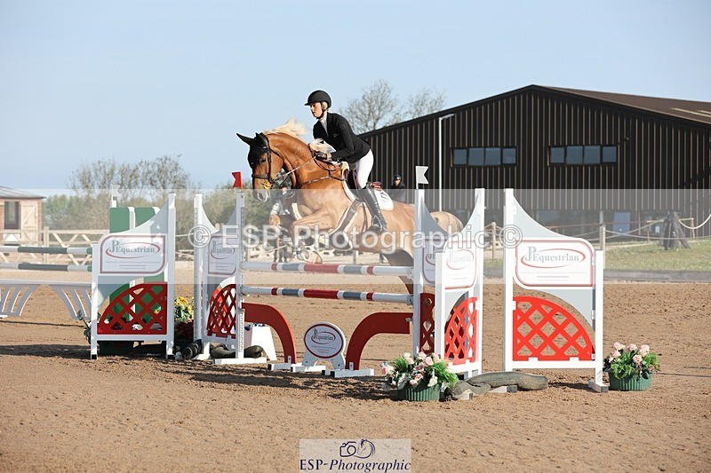 250427-083005-14489 - Cls 28 Young Horse 5yr old