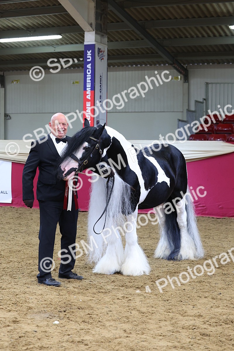 SBM_22946 - Class 903 - Supreme Final - IH Pre Vet
