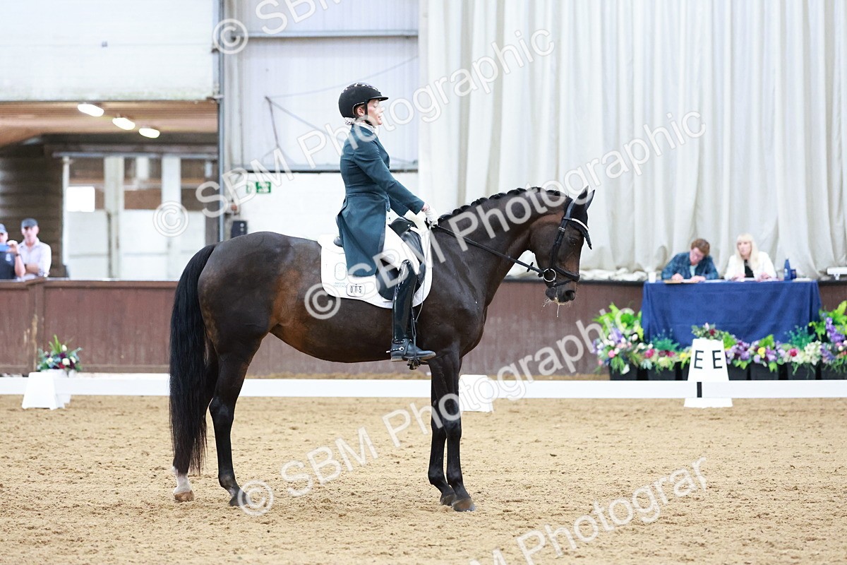 SBM_020199 - Class 12 - FEI PSG - 14.12-15.00