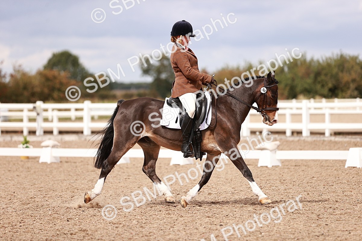 SBM_06241 - Class 37 - Novice 5