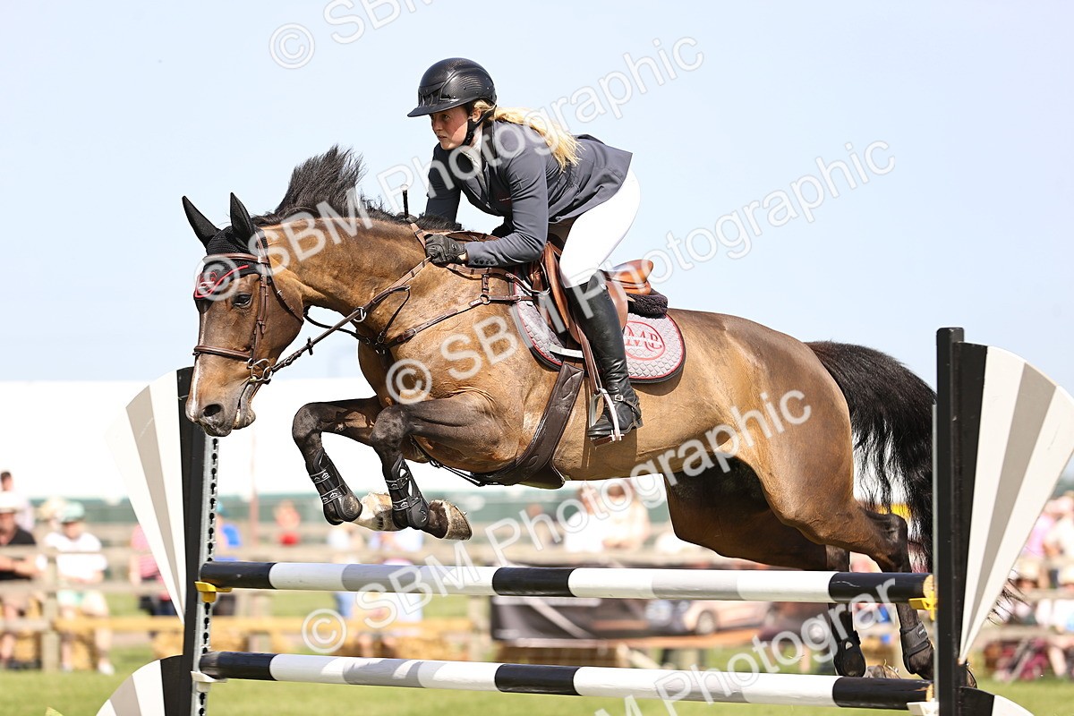 SBM_02951 - Class 201 - British Horse Feedds Speedi Beet HOYS Grade C