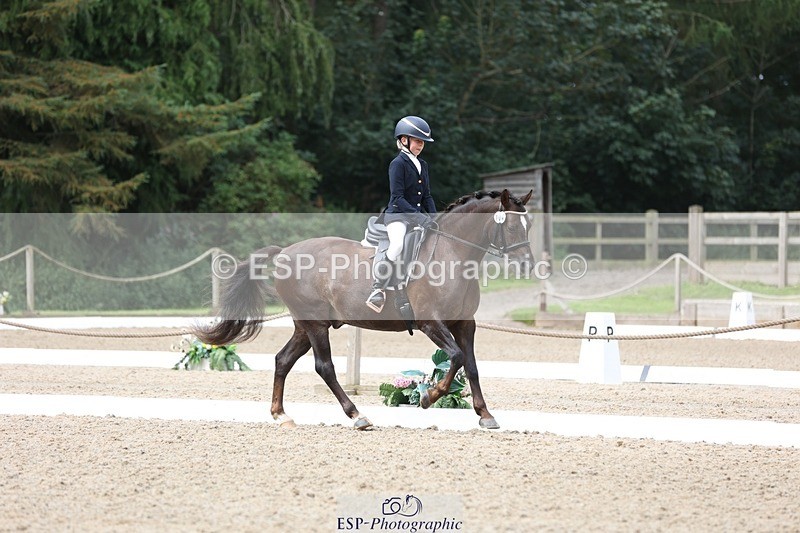 230812-103848-03288 - Cls 5 Novice Bronze Start to 10.55 break