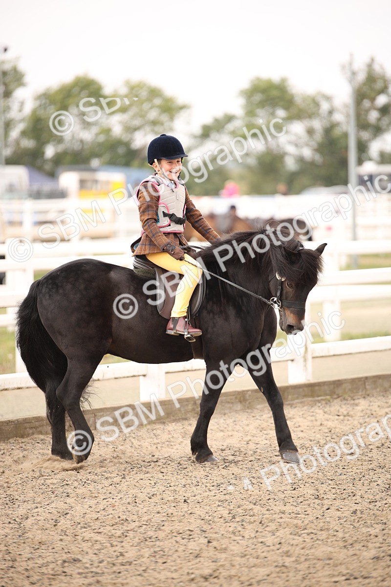 SBM_11732 - Class 404a Junior Working Veteran- 40cm (15-19)