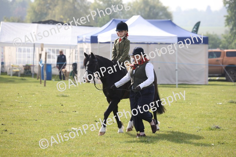 20260426-0352 - Class 30 - Tiny Tots Lead Rein