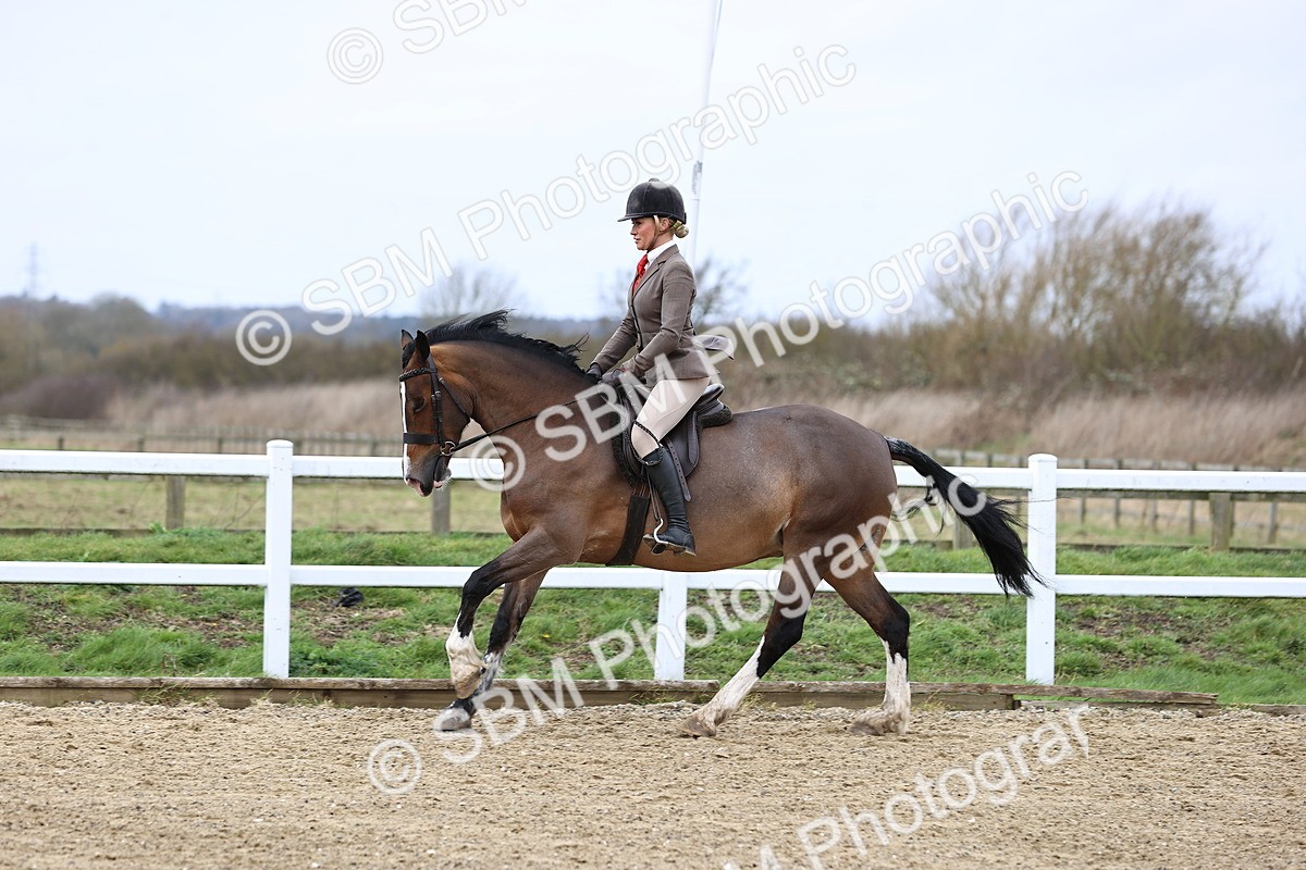 SBM_006952 - Class 29 - 30 - M&M Pure Novice Small-Large Breeds