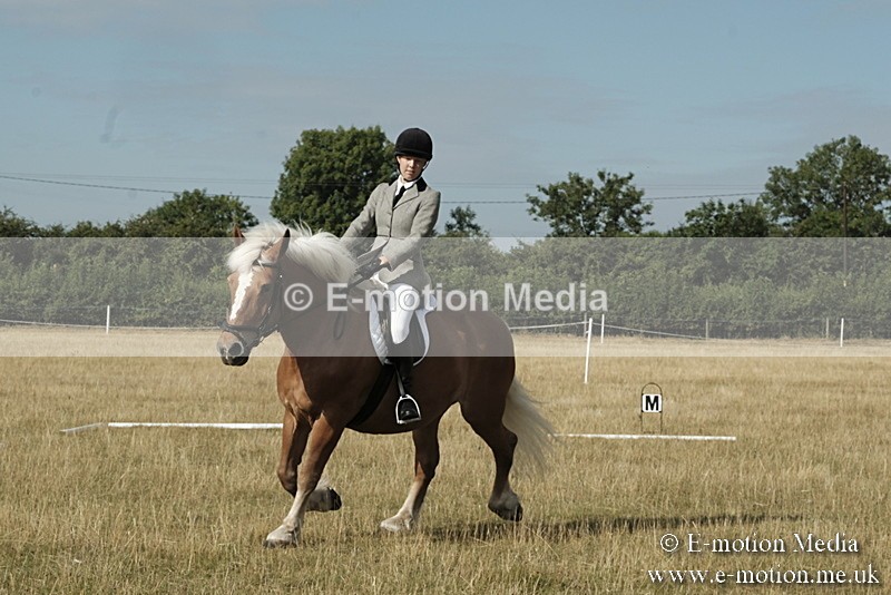 _PJP5575 - Dressage Classes BVRC Show 2018
