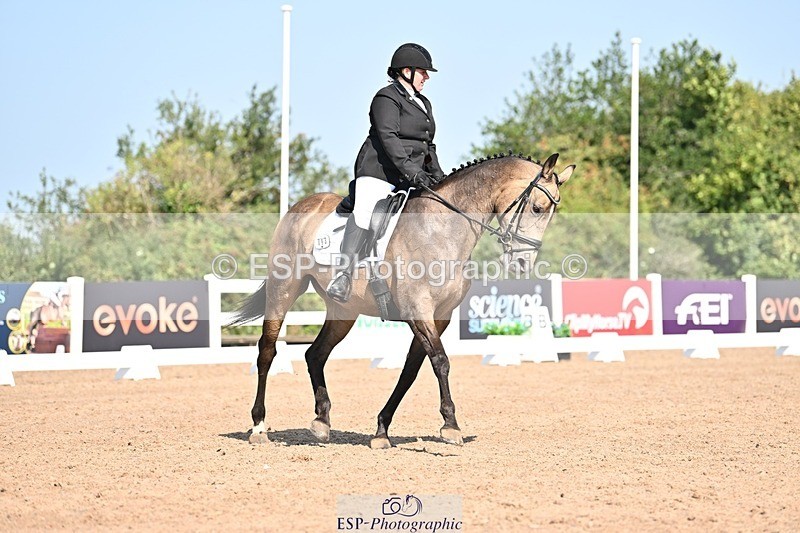 250816-105324-03225 - 093-Jocelyn.GilmoreSpring.lily