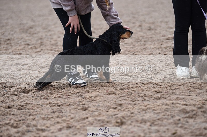 240518A-132634-01297 - Cls 8 Dog the judge would most like to take home