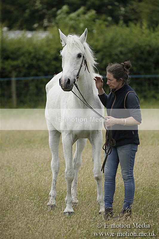 B230619-0585 - Bourne Valley Riding Club Summer Show 23/06/19