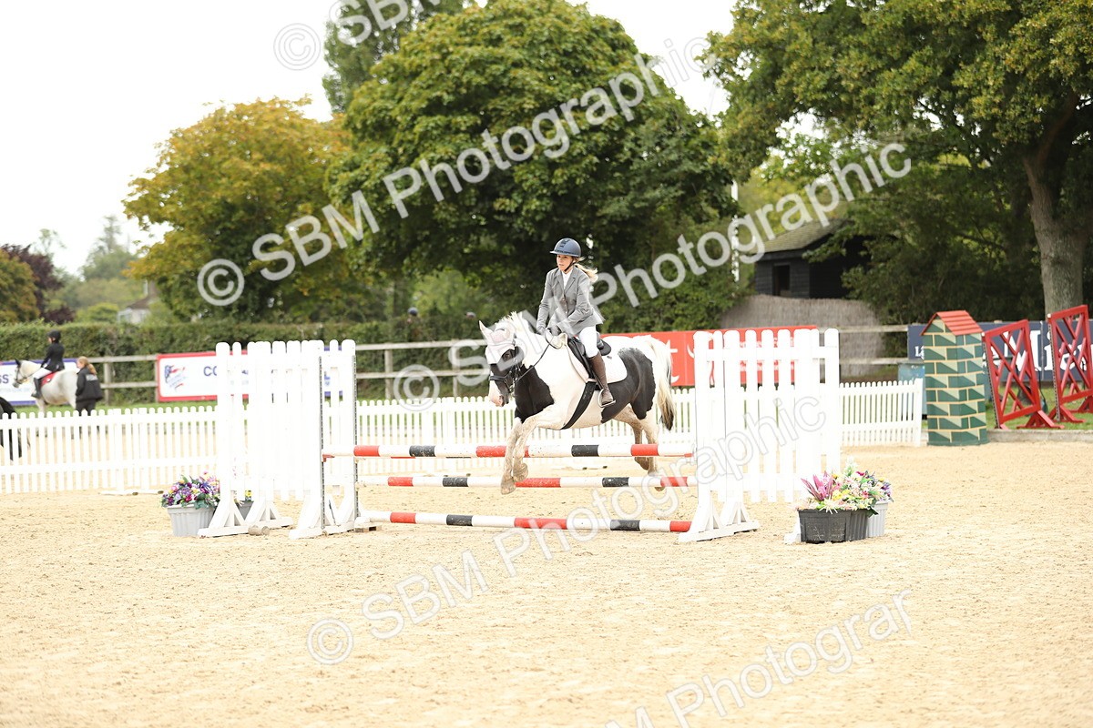 SBM_63080 - Supreme championship 75cm 80cm