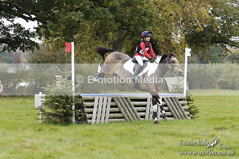 WWHT 181020 WWHT 181020 1387 - WWEC Intermediate (0.90m)  18/10/20