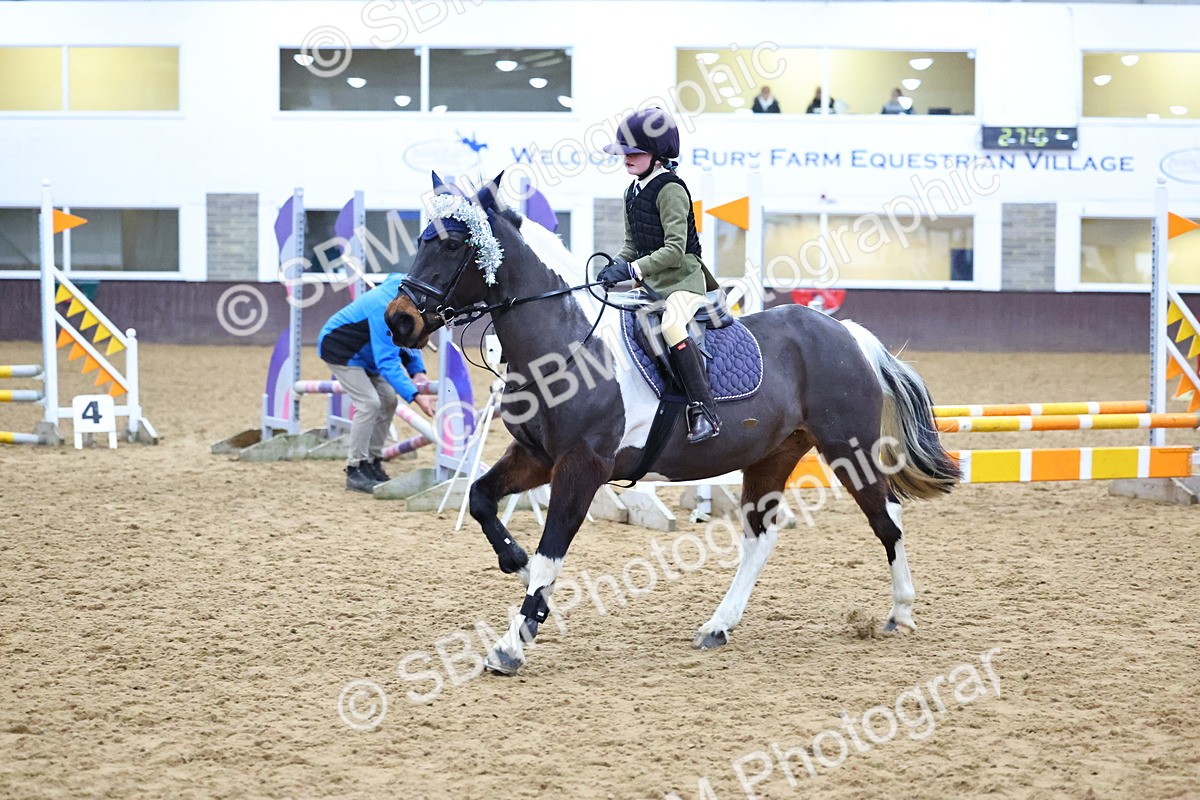 SBM_001470 - Class 3 - Christmas Tree Stakes - 60cm