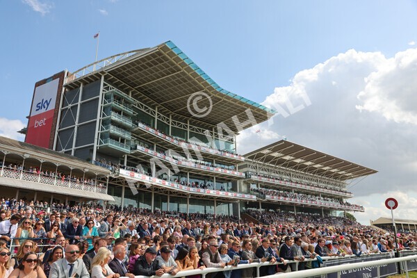 yr20082022r1-26 - Race 1 1.50pm Sky Bet & Symphony Group Strensall Stakes