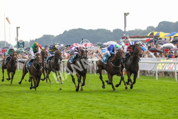 100923-Race 6-Anjo Bonita-3990 - Race 6 4.25pm Hanson Springs 60th Anniversary Handicap at York