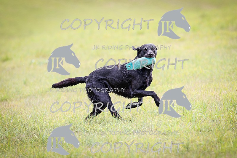 _R6A5779 - 11.10am - 12pm