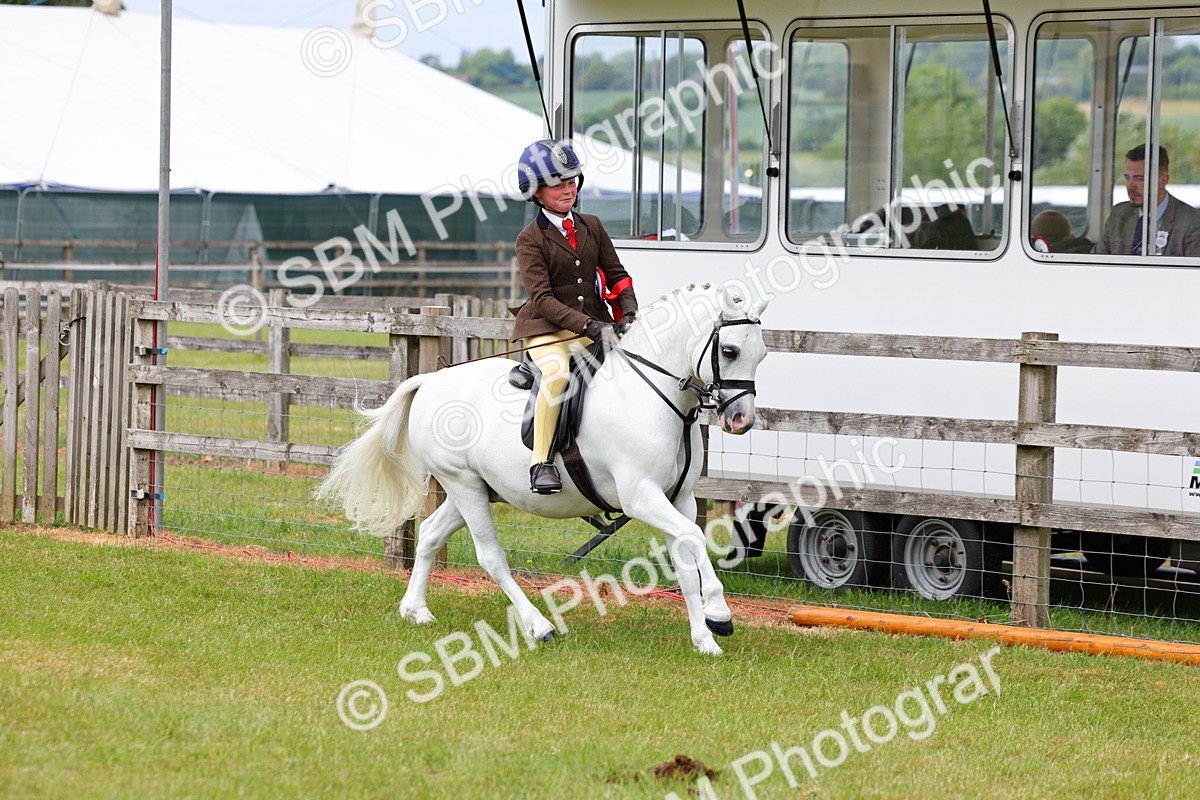SBM_09682 - Class 44-45 - LIHS BSPS Open Nursery and Cradle Stakes