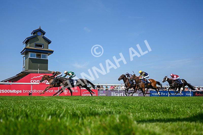 140726-Race 2-What A Tahoo-3990 - Race 2 14.47pm Young Guns Handicap