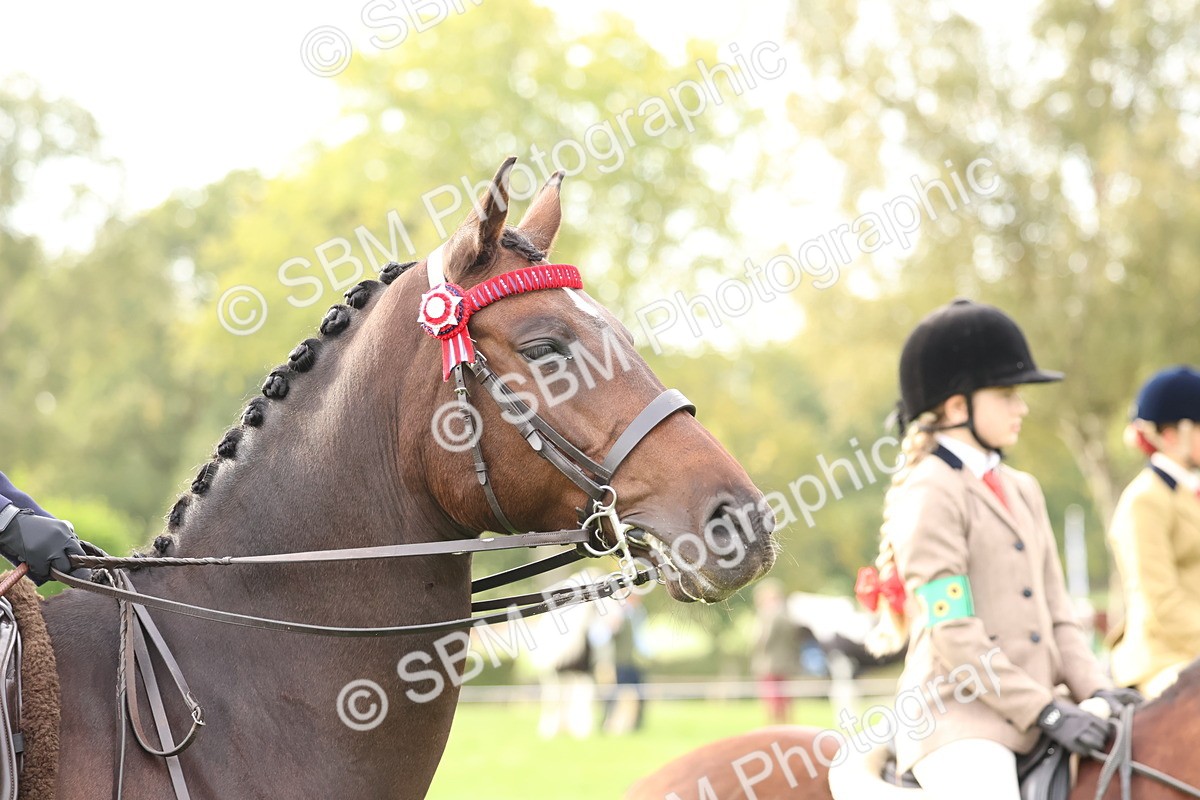 SBM_56652 - S40 - Starters Ridden Showing
