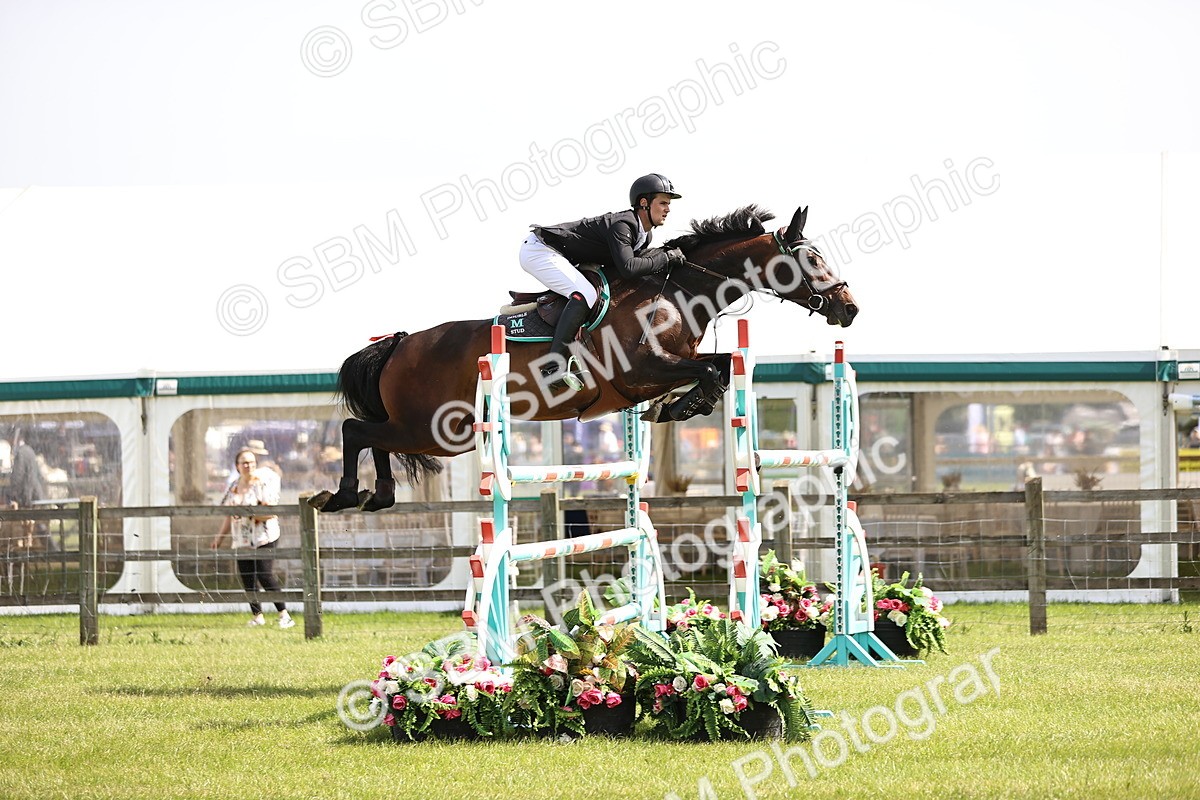 SBM_03154 - Class 201 - British Horse Feedds Speedi Beet HOYS Grade C