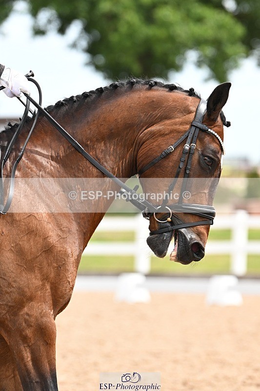 250620-115449-02869 - BD Cls 4 - Novice 5, 11.30am to 12.35pm