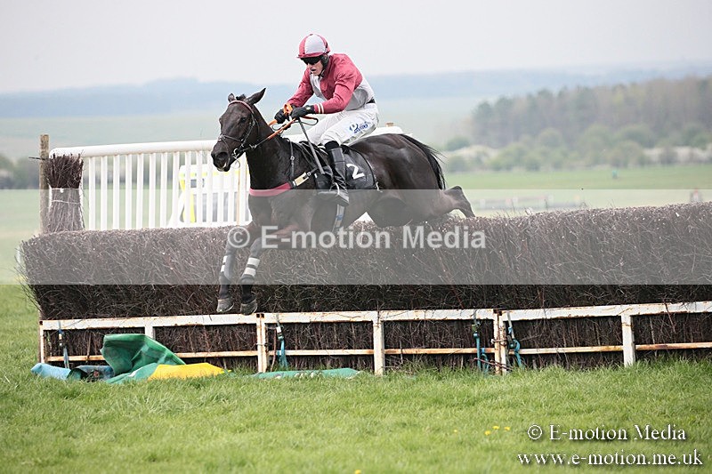 PtP 210418 111 - South & West Wilts Point-to-Point Larkhill 21/04/18
