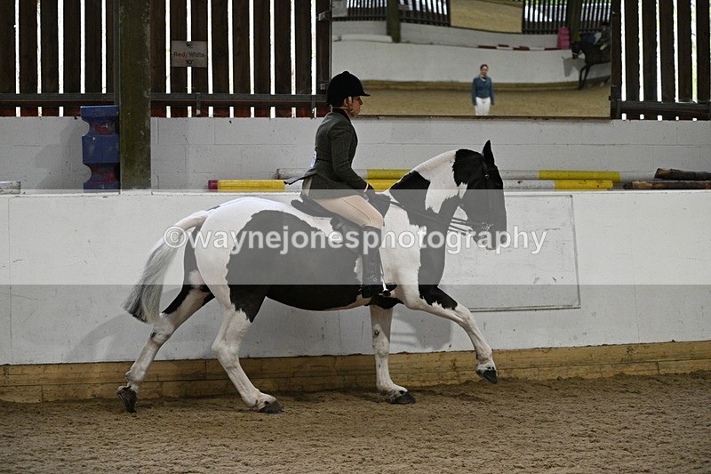 WJ7_3836 - Class 17 Ridden Cob