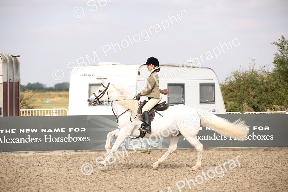 SBM_16086 - Class 408b - Working Veteran 70cm (20+)