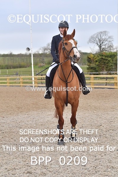 BPP_0209 - CLASS 1 FRI Club/ Unaffiliated 80cms Open