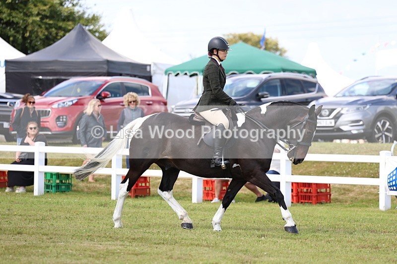 3E7A9663 - Class 5: Rising Star Lightweight/Heavyweight Cobs