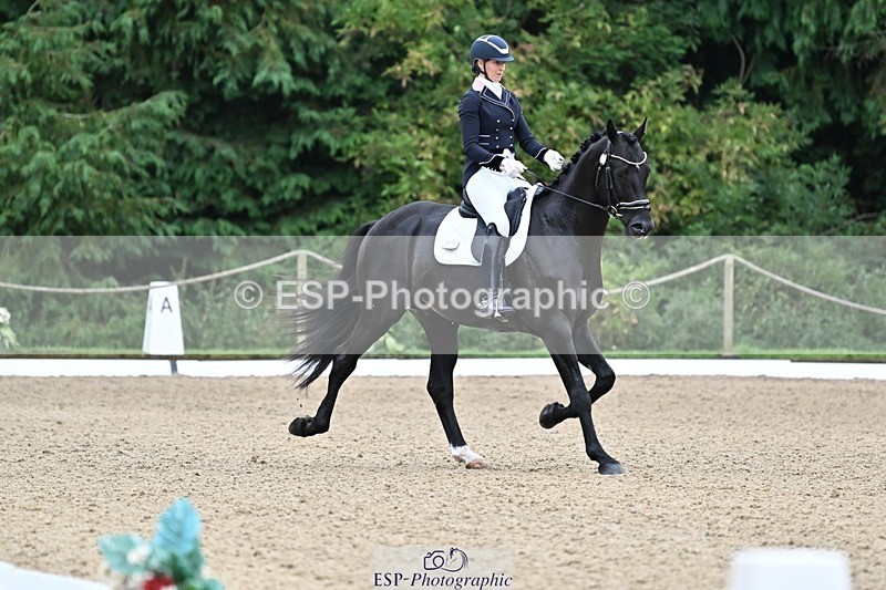 240810-102646-02669 - 235-Rebecca.Cowderoy-Nights.Dream