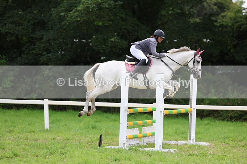 3E7A7247 - Class 5: Senior British Novice/90cm open