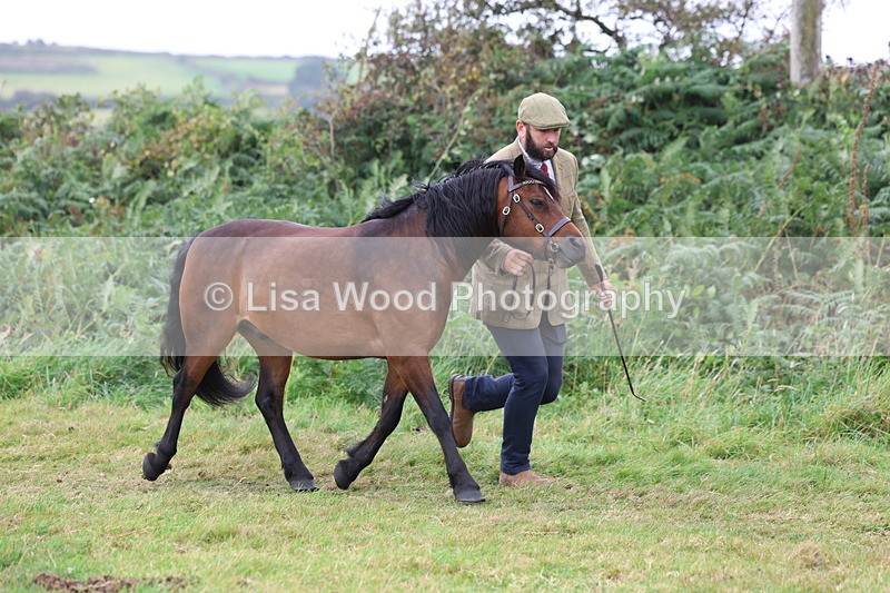 3E7A4584 - Class 16: Best Grass Kept