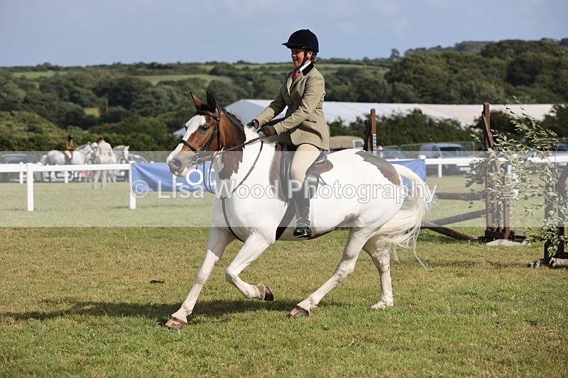 JPP_2814 - Class 20: Working Hunter 70cm