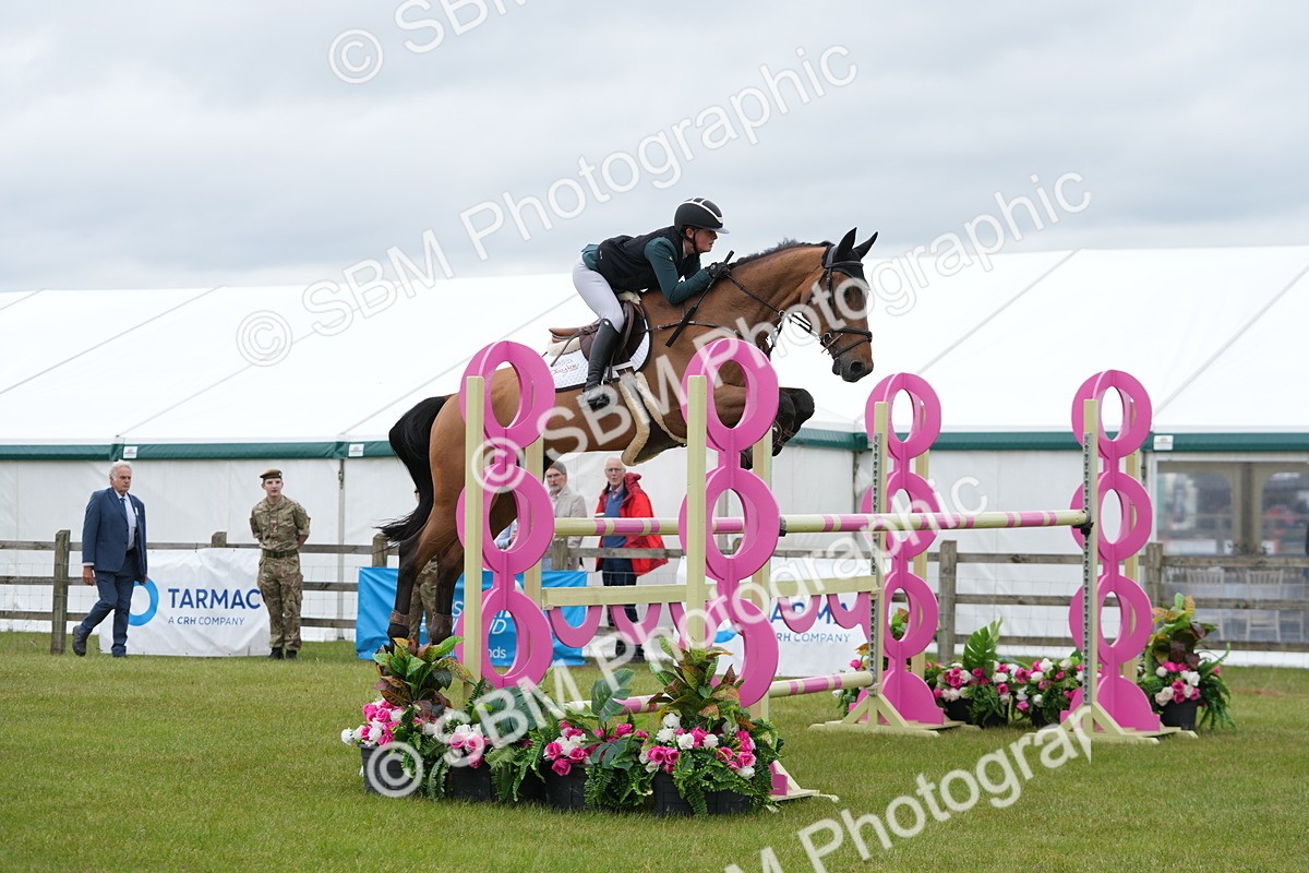 SBM_03486 - Class 201 - British Horse Feeds Speedi Beet Horse of the Year Show Grade  C