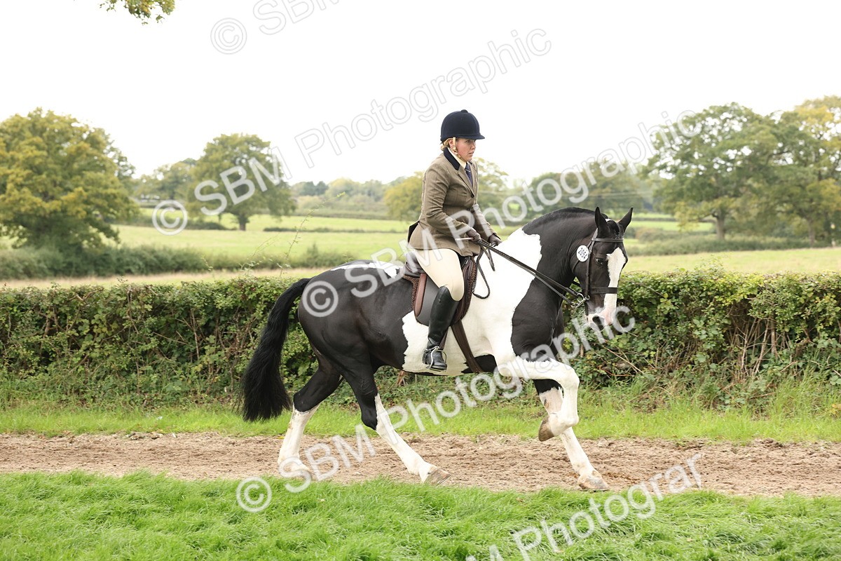 SBM_67242 - S67 - Piebald & Skewbald Horse Ridden