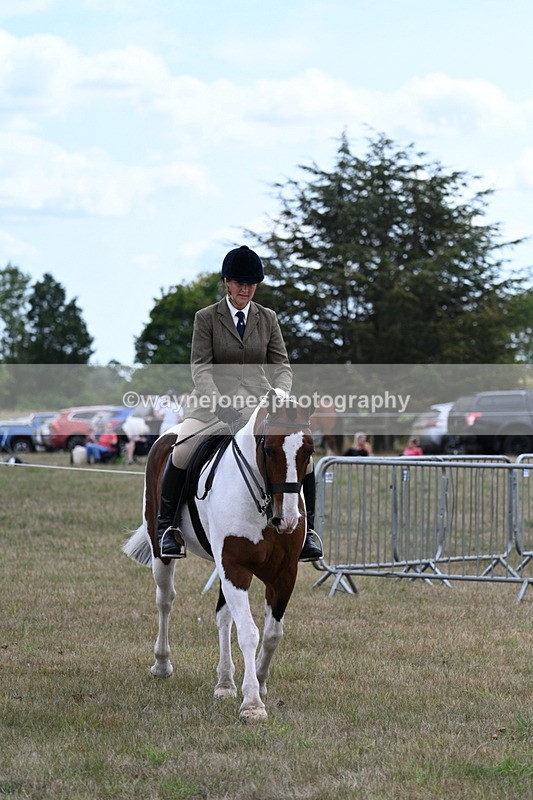 WJ7_5178 - Class 12 Ridden Cob