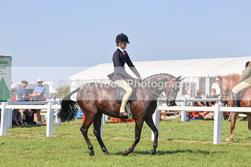 IMG_1887 - Class 33: Show Pony 148cm and under