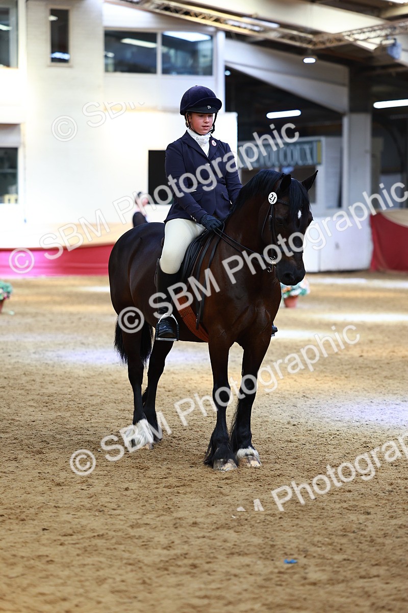 SBM_23972 - Class 905 - Supreme Final - Ridden Veteran