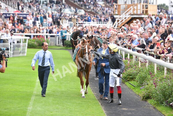 yr20082021r2-15 - Race 2 2.25pm Weatherbys Hamilton Lonsdale Cup (British Champion Series race)